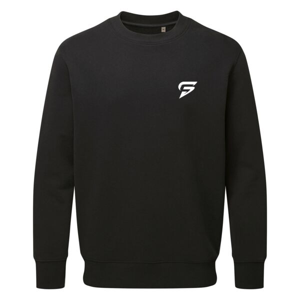 Anthem sweatshirt Thumbnail